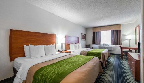 Queen Room with Two Queen Beds - Non Smoking