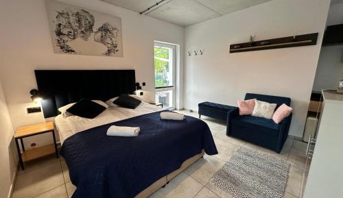 Double Room with Terrace