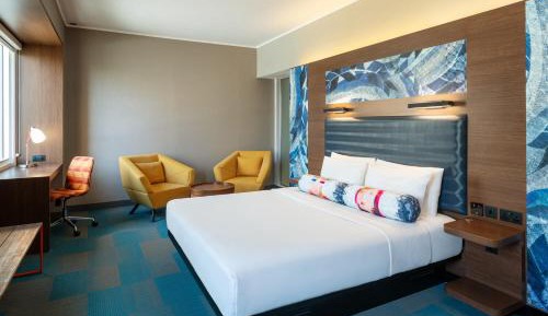 Savvy, Guest room, 1 King