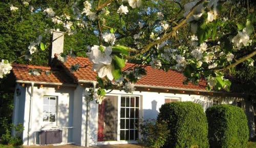 Superior Bungalow