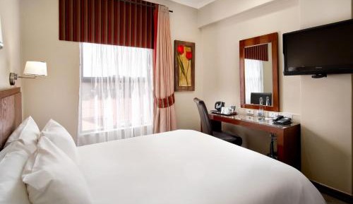 Standard Queen Room with City View