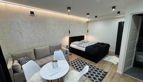 Superior Apartment with City View