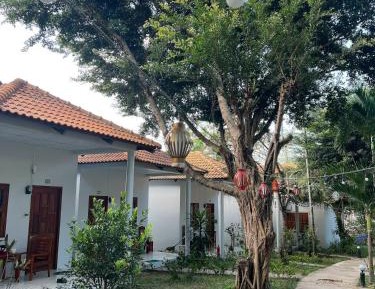Standard Bungalow