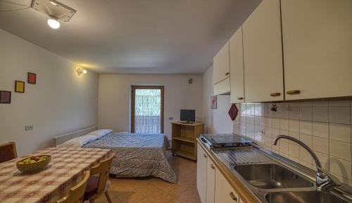 One-Bedroom Apartment with Balcony and Mountain View  