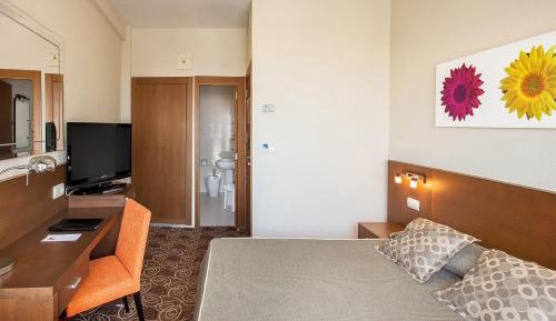 Single Room with Terrace