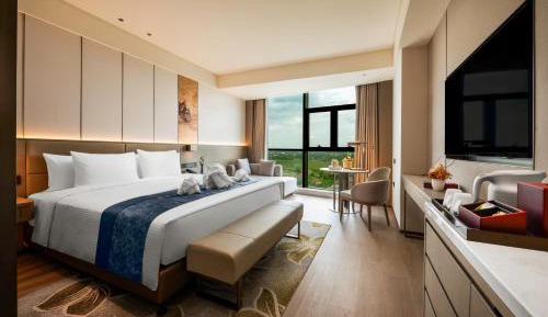 Deluxe King Room
