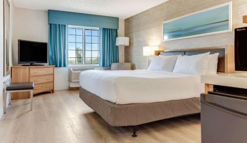Deluxe King Room