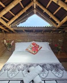 Single Bed in Mixed Dormitory Room