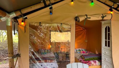 Tent (2 Adults) Jubi Safari tent