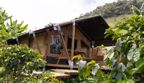 Family Glamping