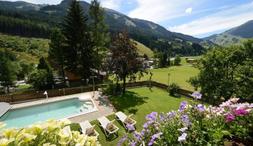 One-Bedroom Apartment with Balcony and Mountain View - Annex