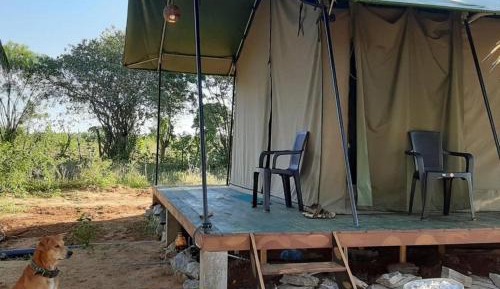Tent