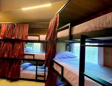 Bunk Bed in Mixed Dormitory Room