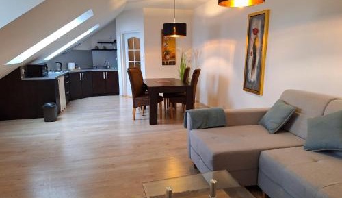 One-Bedroom Apartment with View