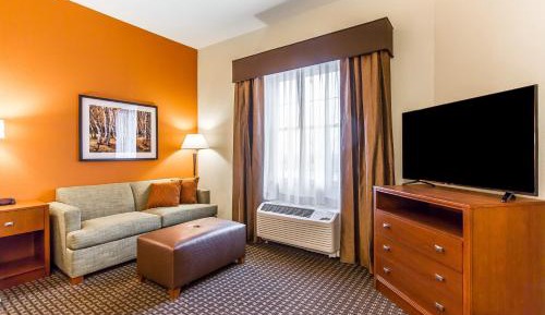 One-Bedroom King Suite with Sofa Bed - Non-Smoking