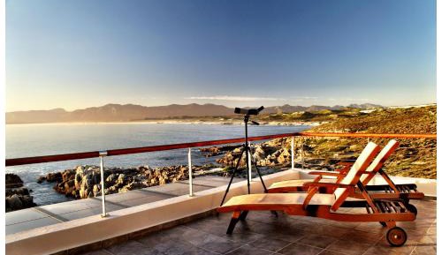 Penthouse Suite