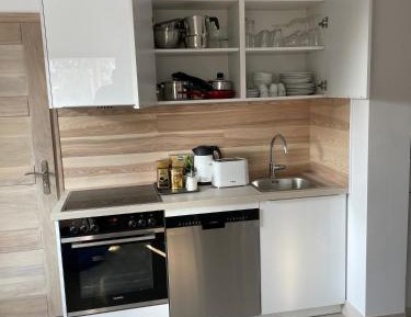 Deluxe One-Bedroom Apartment