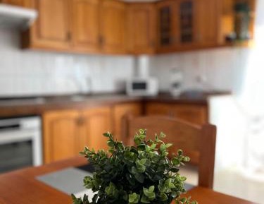 Two-Bedroom Standard Apartment