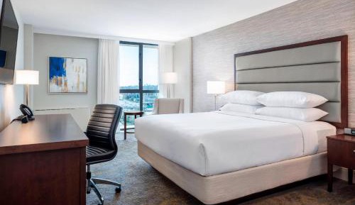 Deluxe King Guest Room