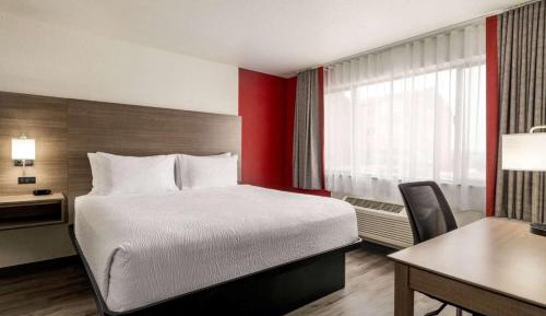 King Suite with One King Bed - Separate Building/Non-Smoking