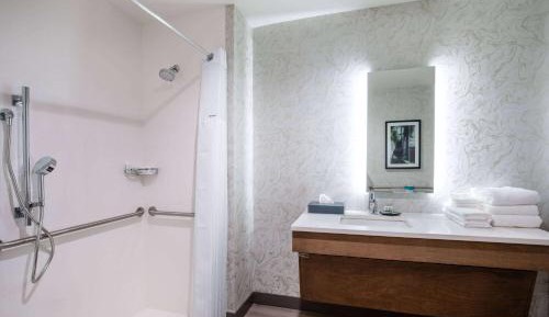 King Room with Roll-in Shower - Mobility Access/Non-Smoking