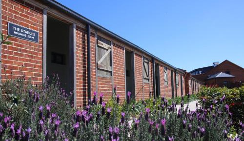 King Room with Lake View