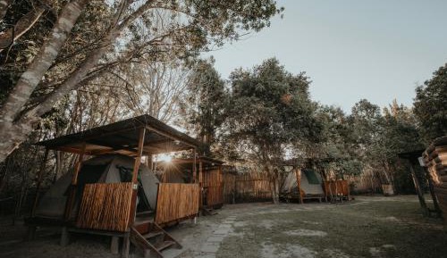 Tent