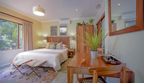 Luxury Room