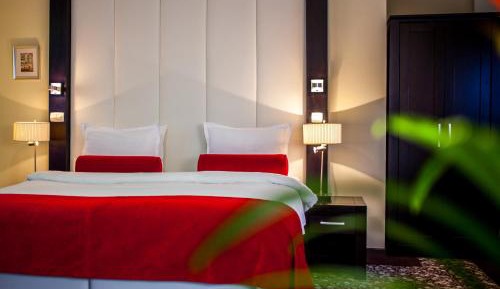 Standard Double or Twin Room