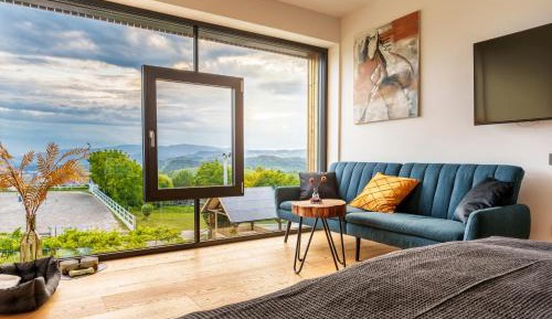 Deluxe Double or Twin Room with City View
