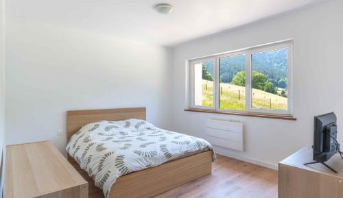Double Room with Mountain View
