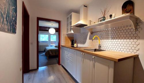 Apartment with Mountain View