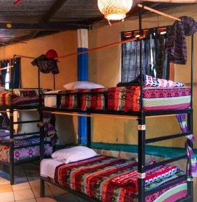 Bed in 8-Bed Mixed Dormitory Room