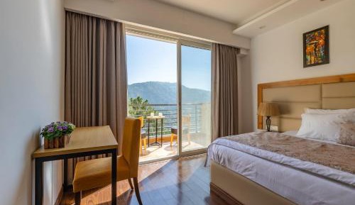 Double Room with Mountain View