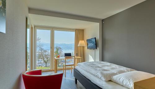 Single Room with Lake View