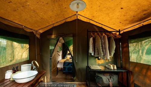 Standard Tent