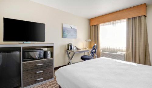 King Room with Sofa Bed