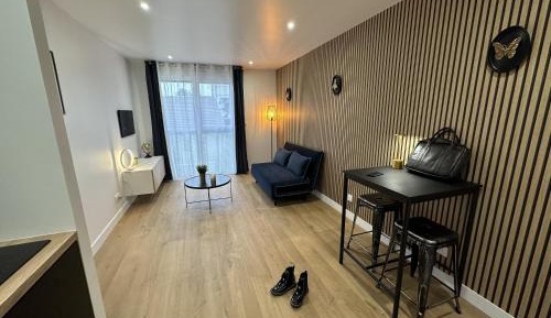 Deluxe One-Bedroom Apartment