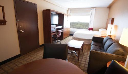 Guest room, 1 Queen, Sofa bed