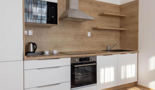 Deluxe Studio with Kitchen