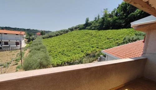 King Room with Garden View
