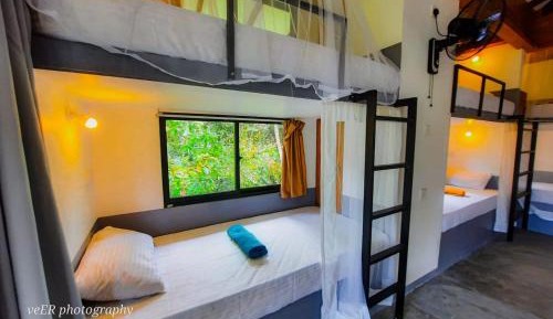 Single Bed in Dormitory Room