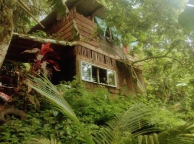 Family Bungalow
