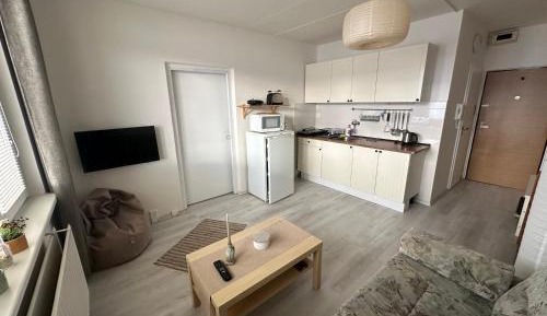 Apartment with Mountain View