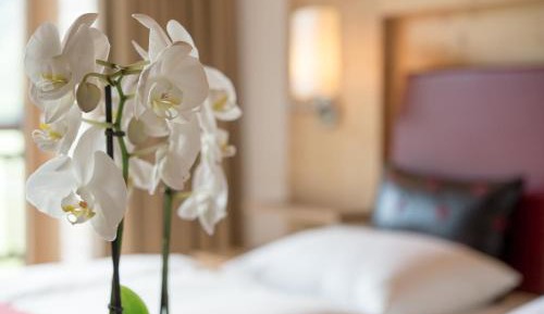 Double Room with Access to the Thermal Spa