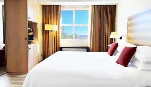 One-Bedroom Senior Executive King Suite with Garden View