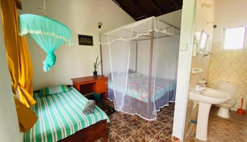 Basic Triple Room