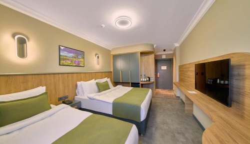 Superior Double or Twin Room
