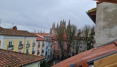 Loft de dos dormitorios y dos baños 