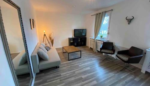 Superior One-Bedroom Apartment